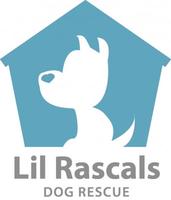 Lil Rascals Dog Rescue - Pet Shelter and Rescue in Osteen, Florida