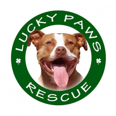 Lucky Paws Rescue - Pet Shelter and Rescue in Tacoma, Washington