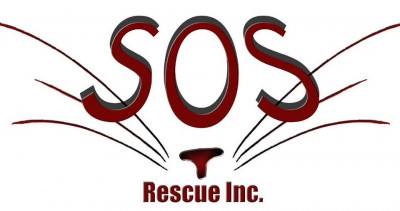 SOS Rescue Inc. - Pet Shelter and Rescue in Downingtown, Pennsylvania