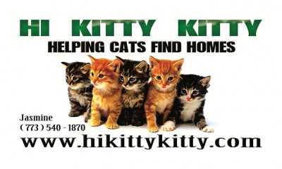 Hi Kitty Kitty - Pet Shelter and Rescue in Chicago, Illinois