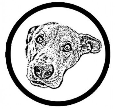 PacoCorp Rescue - Pet Shelter and Rescue in Euless, Texas