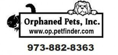 Orphaned Pets, Inc. - Pet Shelter and Rescue in West Caldwell, New Jersey