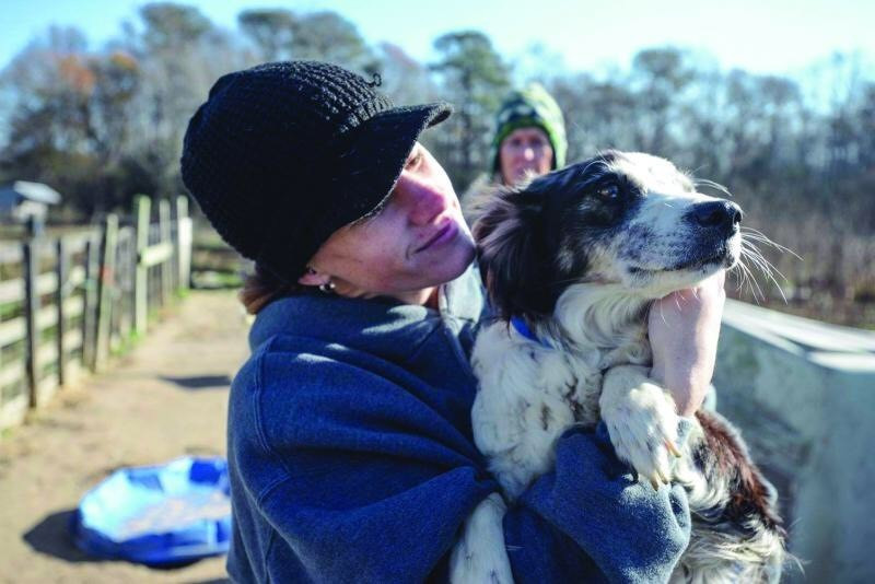 Grass Roots Rescue Delaware