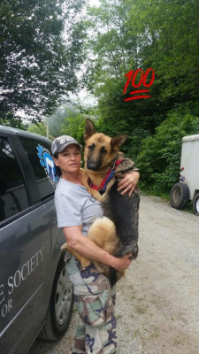 South Coast Humane Society - Pet Shelter and Rescue in Brookings, Oregon