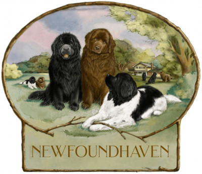 Newfoundhaven - Pet Shelter and Rescue in Wagoner, Oklahoma
