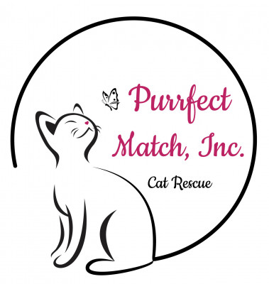 Purrfect Match - Pet Shelter and Rescue in Sarasota, Florida