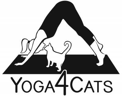 Yoga4Cats - Pet Shelter and Rescue in Decatur, Illinois