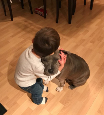 Furgotten Dog Rescue, Inc. - Pet Shelter and Rescue in Florence, Kentucky