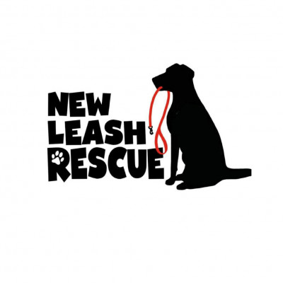 New Leash Rescue - Pet Shelter and Rescue in Farmington, Minnesota