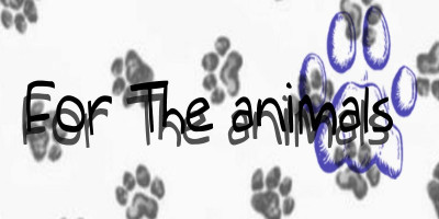 For The Animals - Pet Shelter and Rescue in Toronto, Ontario