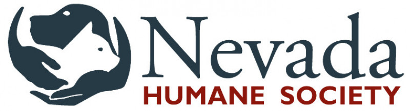 Nevada Rabbits Nevada Humane Society - Pet Shelter and Rescue in Reno, Nevada | PetCurious