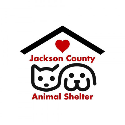 Jackson County Animal Shelter - Pet Shelter and Rescue in Jackson, Michigan