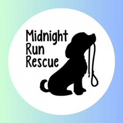 Midnight Run Rescue - Pet Shelter and Rescue in East Greenwich, Rhode Island