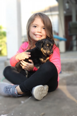 Furever Welcomed Rescue  - Pet Shelter and Rescue in Industry, Texas