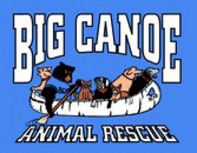 Big Canoe Animal Rescue - Pet Shelter and Rescue in Jasper, Georgia