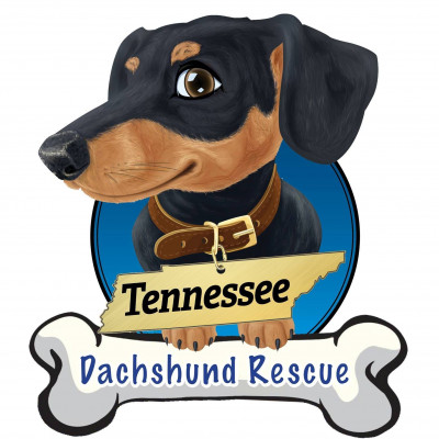 Tennessee Dachshund Rescue - Pet Shelter and Rescue in Cookeville, Tennessee
