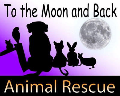 To The Moon And Back Animal Rescue - Pet Shelter and Rescue in Davenport, Iowa