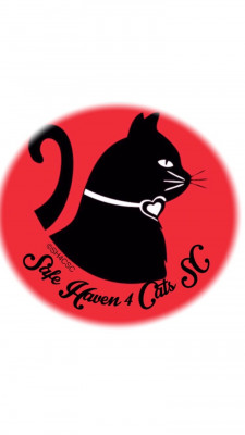 Safe Haven 4 Cats SC  - Pet Shelter and Rescue in Conway, South Carolina