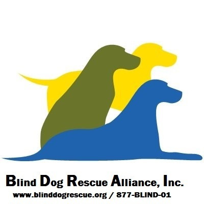 Blind Dog Rescue Alliance - CT - Pet Shelter and Rescue in Seymour, Connecticut