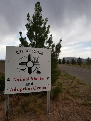 Socorro Animal Shelter Adoption Center - Pet Shelter and Rescue in Socorro, New Mexico