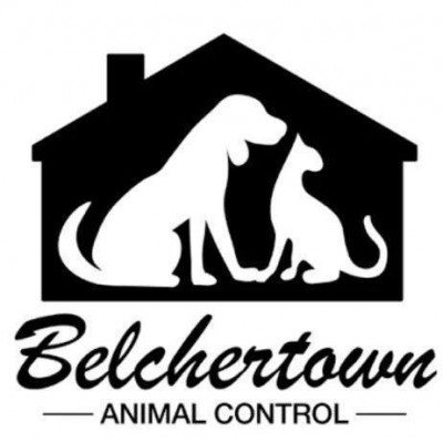 Belchertown Animal Control - Pet Shelter and Rescue in Belchertown, Massachusetts