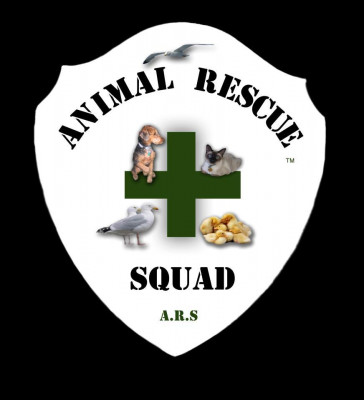 Animal Rescue Squad - Pet Shelter and Rescue in Dyer, Indiana