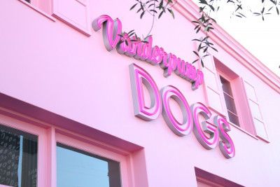 Vanderpump Dogs - Pet Shelter and Rescue in Los Angeles, California