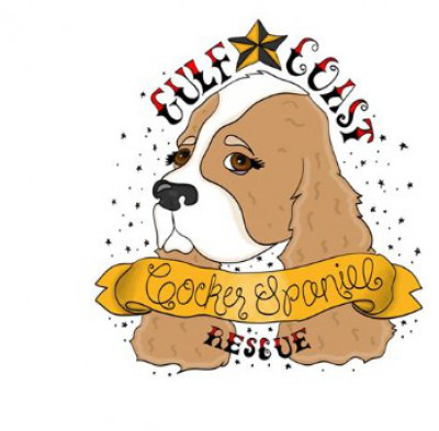 Gulf Coast Cocker Spaniel Rescue - Pet Shelter and Rescue in Houston, Texas
