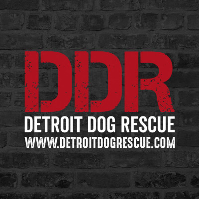 Detroit Dog Rescue - Pet Shelter and Rescue in Detroit, Michigan