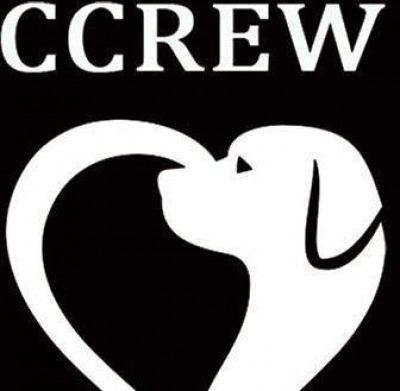 Cascade Canine Rescue East West - Pet Shelter and Rescue in Bend, Oregon