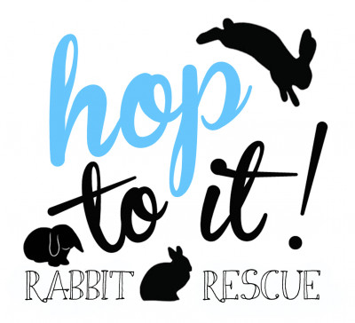 Hop To It Rabbit Rescue - Pet Shelter and Rescue in Homer Glen, Illinois