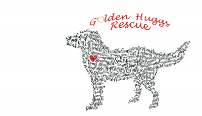 Golden Huggs Rescue Inc - Pet Shelter and Rescue in Waitsfield, Vermont