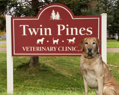 Twin Pines Veterinary Clinic - Pet Shelter and Rescue in Askov, Minnesota