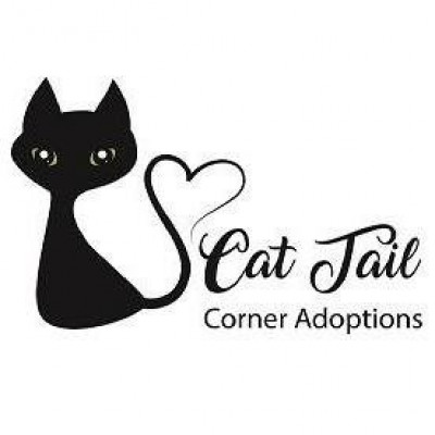 Cat Tail Corner Adoptions - Pet Shelter and Rescue in Longwood, Florida