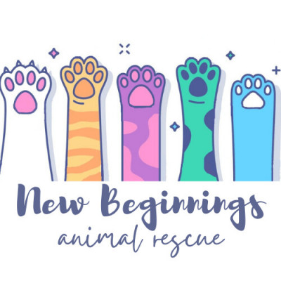 New Beginnings - Pet Shelter and Rescue in Florence, Kentucky