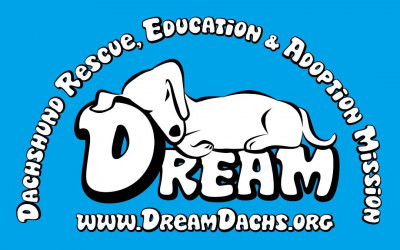 DREAM Dachshund Rescue, Education & Adoption Mission - Pet Shelter and Rescue in Houston, Texas