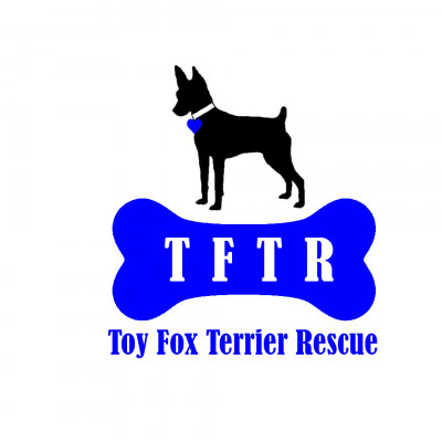 Toy Fox Terrier Rescue, Inc. - Pet Shelter and Rescue in Tulare, California