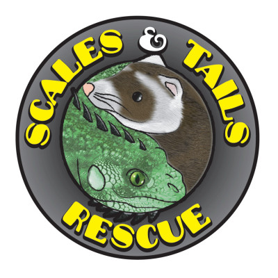 Scales And Tails Exotic Pet Rescue - Pet Shelter and Rescue in Randolph, New Jersey
