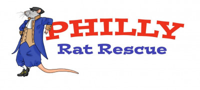 Philly Rat Rescue/SFRS - Pet Shelter and Rescue in Philadelphia, Pennsylvania