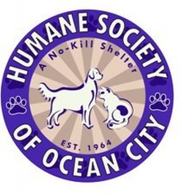 Humane Society Of Ocean City - Pet Shelter and Rescue in Ocean City, New Jersey