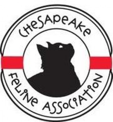 Chesapeake Feline Association - Pet Shelter and Rescue in North East, Maryland