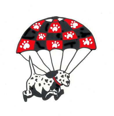 Got Spots Etc - Pet Shelter and Rescue in Adams, Massachusetts