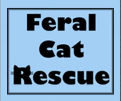 Feral Cat Rescue/Research, Inc. - Pet Shelter and Rescue in Odenton, Maryland