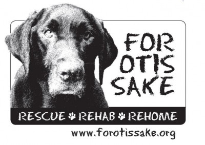 For Otis Sake - Pet Shelter and Rescue in Hagerstown, Maryland