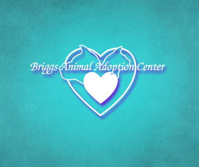 Briggs Animal Adoption Center - Pet Shelter and Rescue in Charles Town, West Virginia