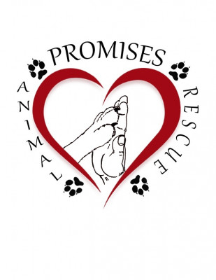 Promises Animal Rescue - Pet Shelter and Rescue in Gainesville, Virginia