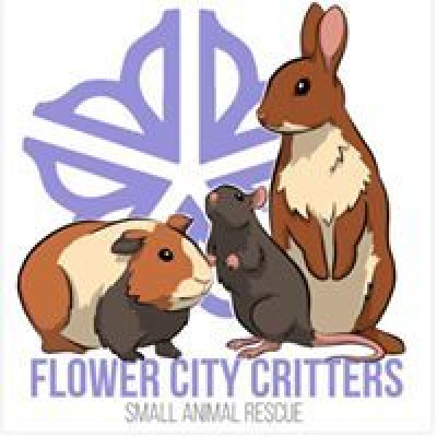 Flower City Critters Small Animal Rescue - Pet Shelter and Rescue in Rochester, New York