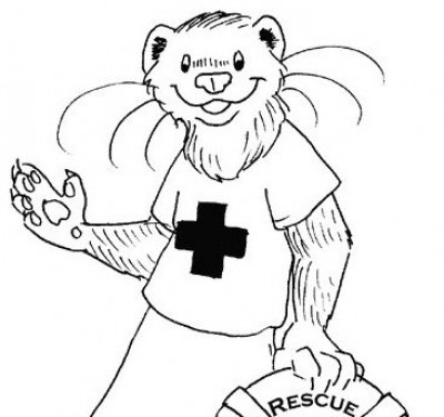 Ferret Rescue Of Maine - Pet Shelter and Rescue in Buxton, Maine