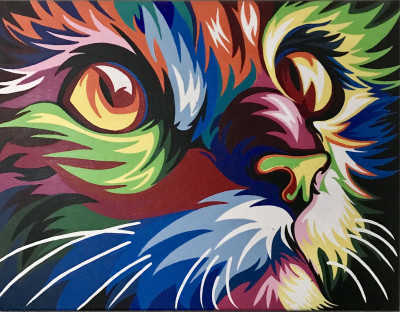 Ohana Feral Cat And Kitten TNR - Pet Shelter and Rescue in Oceanside, California