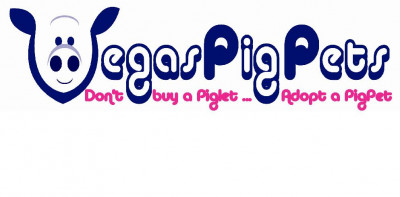VegasPigPets - Pet Shelter and Rescue in Las Vegas, Nevada